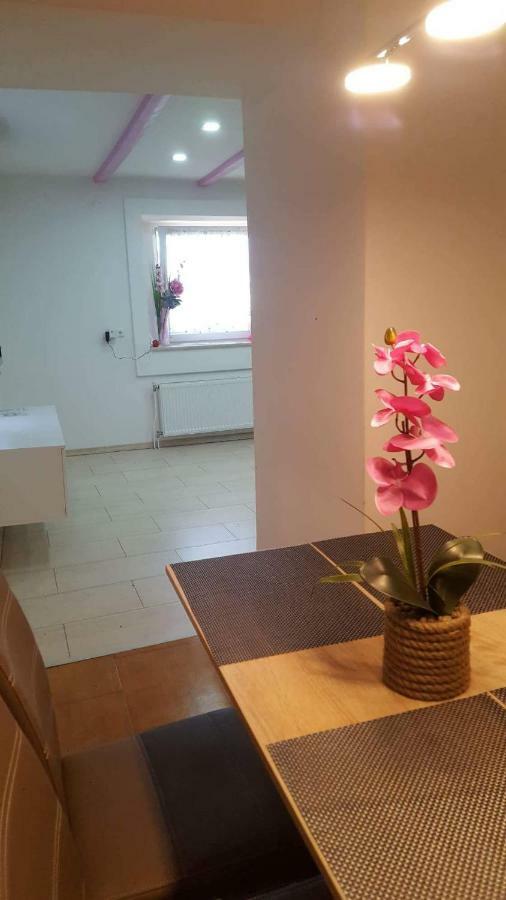Apartment Goran & Nela Umag Dış mekan fotoğraf