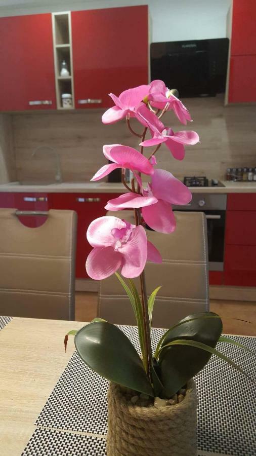 Apartment Goran & Nela Umag Dış mekan fotoğraf
